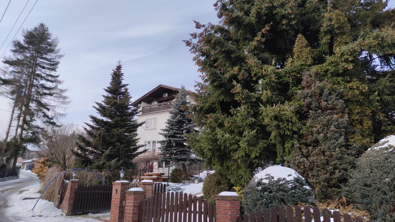 Alfa 2 Apartament 3 Bystra  Kültér fotó